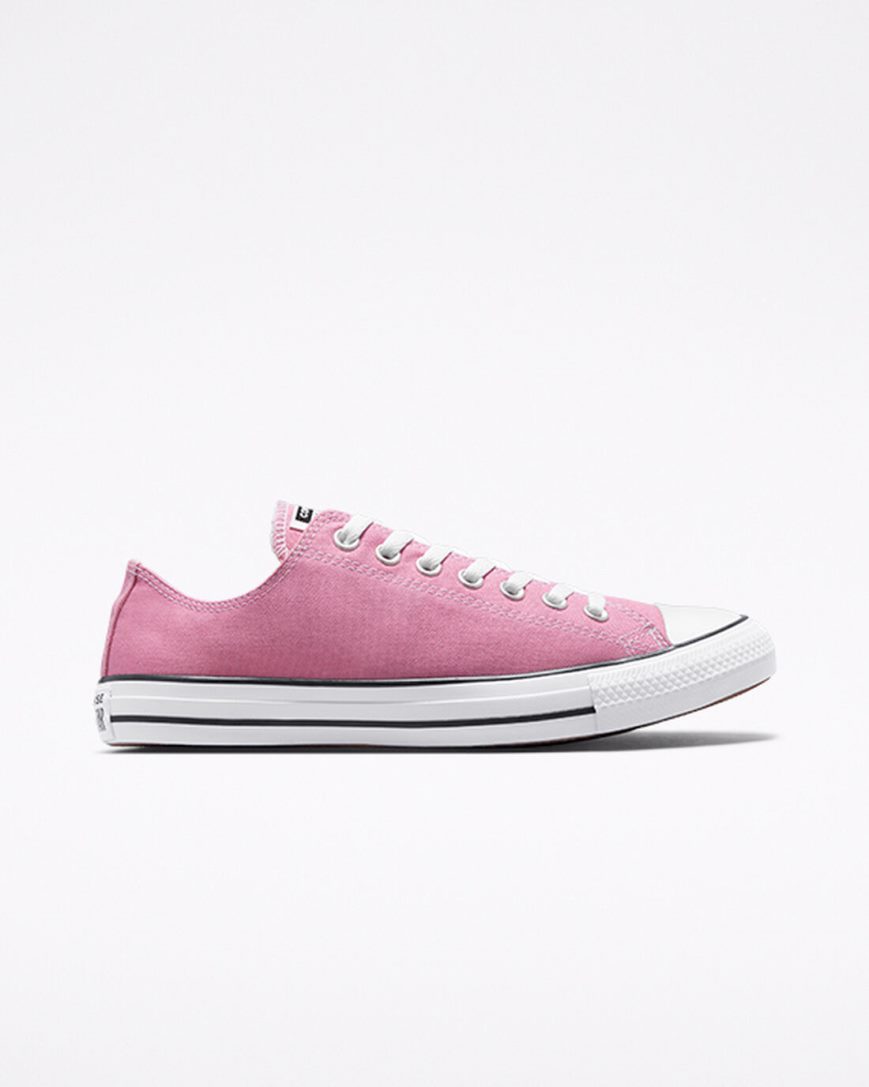 Tenisky Nizke Converse Chuck Taylor All Star Seasonal Color Panske Ruzove | SK WQZ11X5